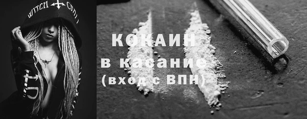 гашик Алзамай