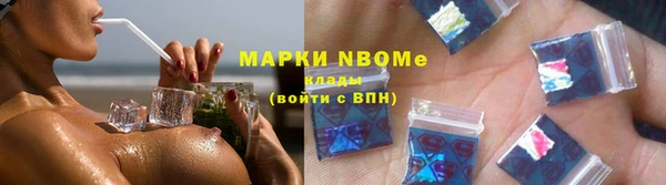 гидра Алексин