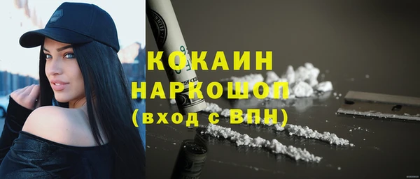 гидра Алексин