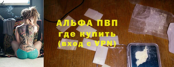 гидра Алексин