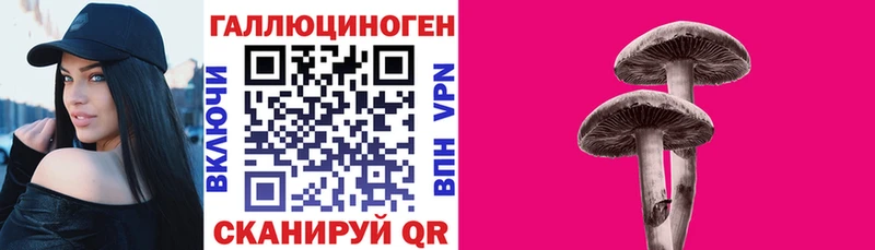 Галлюциногенные грибы прущие грибы  Ардатов 